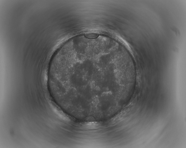 X0000110960059200907171658