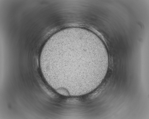 X0000110960061200907171658