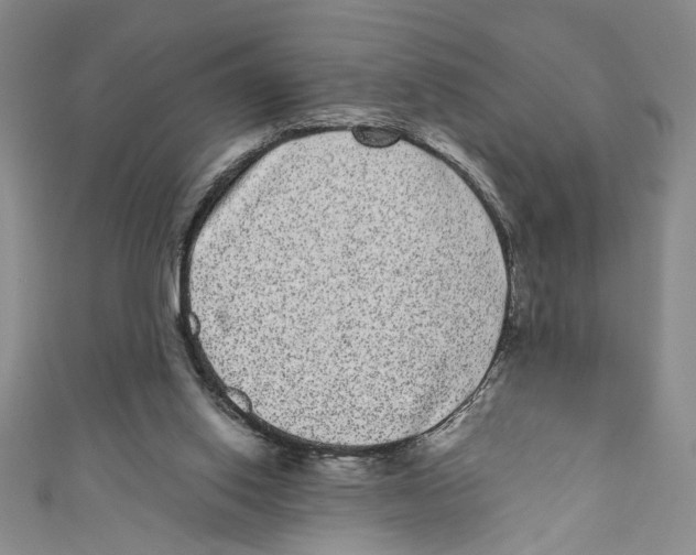 X0000110960062200907171658