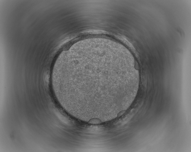 X0000110960063200907171658
