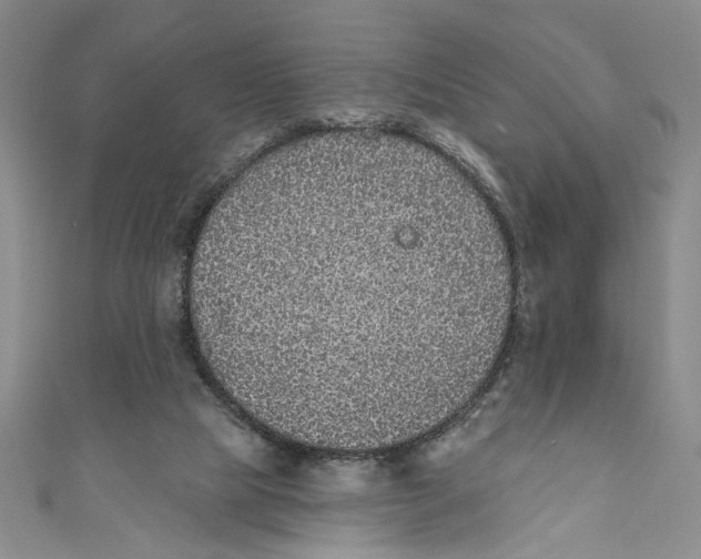 X0000110960065200907171658