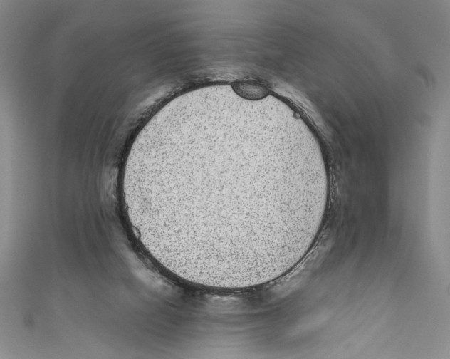 X0000110960066200907171658