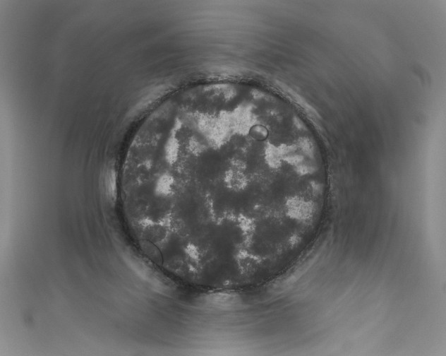 X0000110960067200907171658