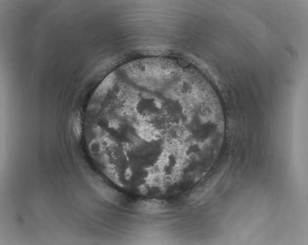 X0000110960069200907171658