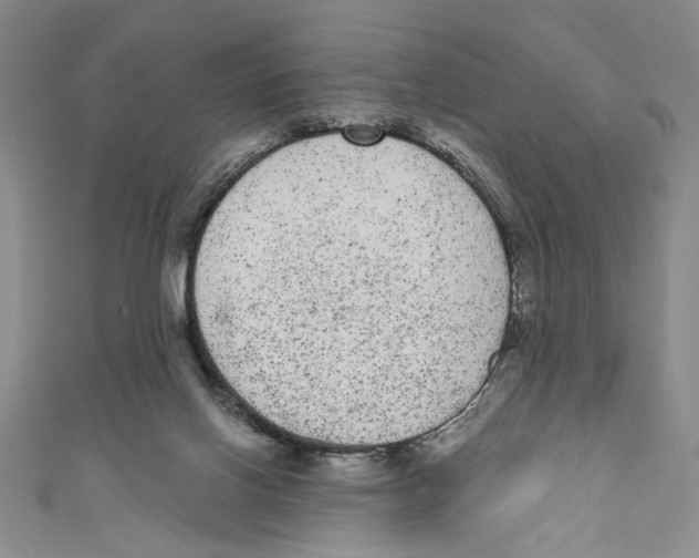 X0000110960070200907171658