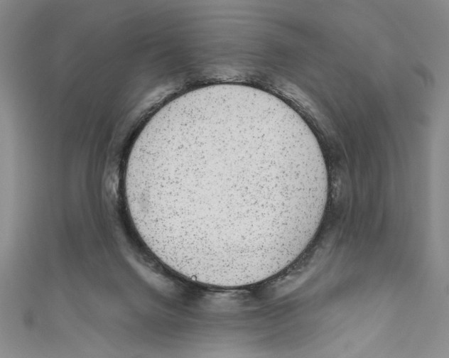 X0000110960072200907171658