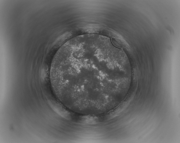 X0000110960073200907171658