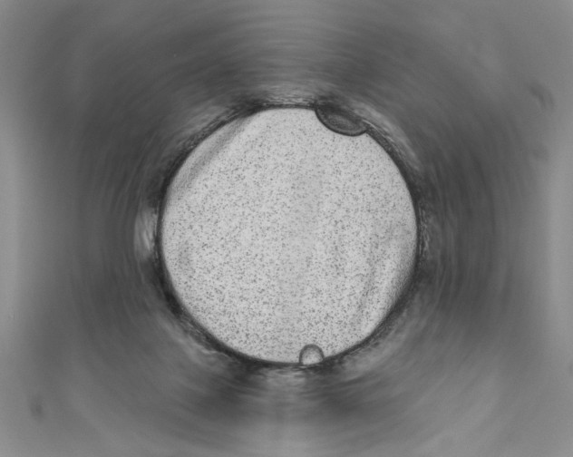 X0000110960075200907171658