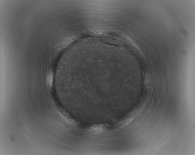 X0000110960076200907171658