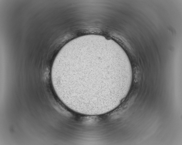 X0000110960077200907171658