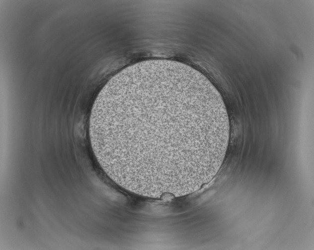 X0000110960078200907171658