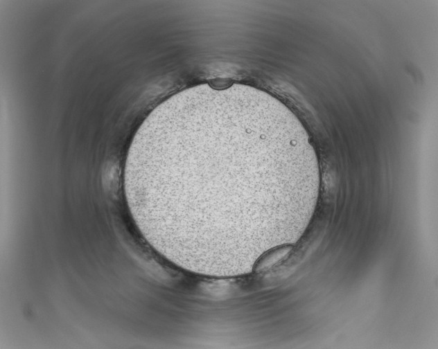 X0000110960079200907171658
