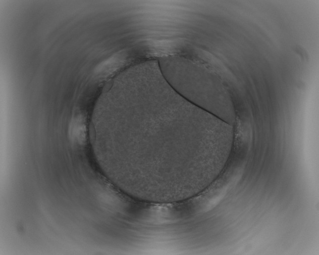 X0000110960080200907171658