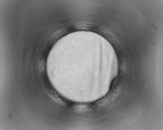 X0000110960081200907171658