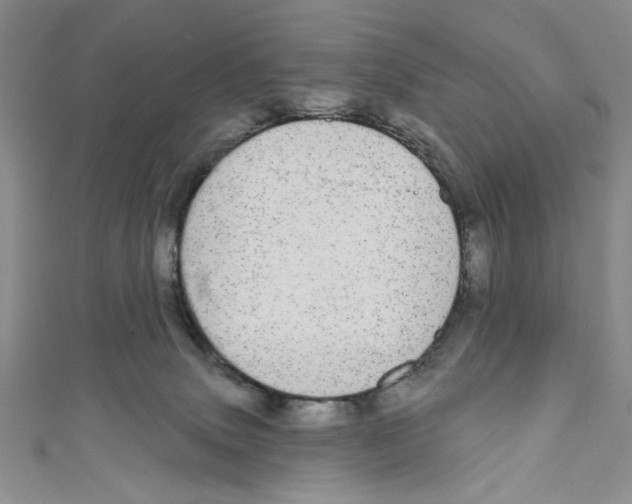 X0000110960083200907171658