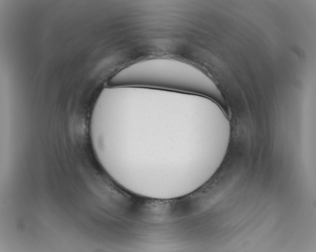 X0000110960084200907171658