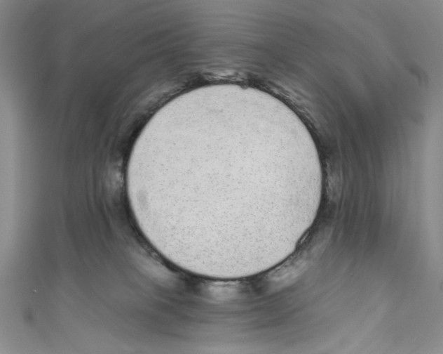 X0000110960085200907171658