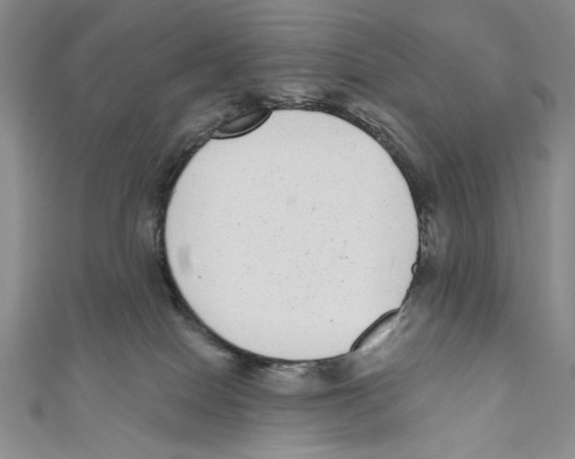 X0000110960086200907171658