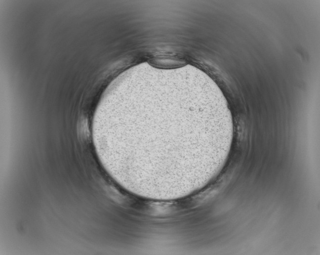 X0000110960089200907171658
