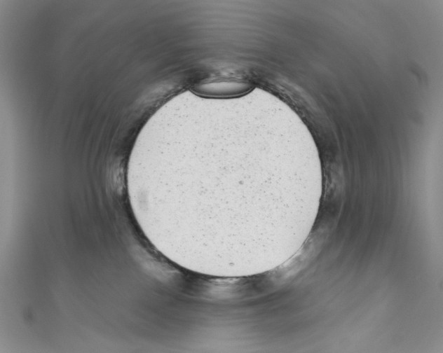 X0000110960090200907171658