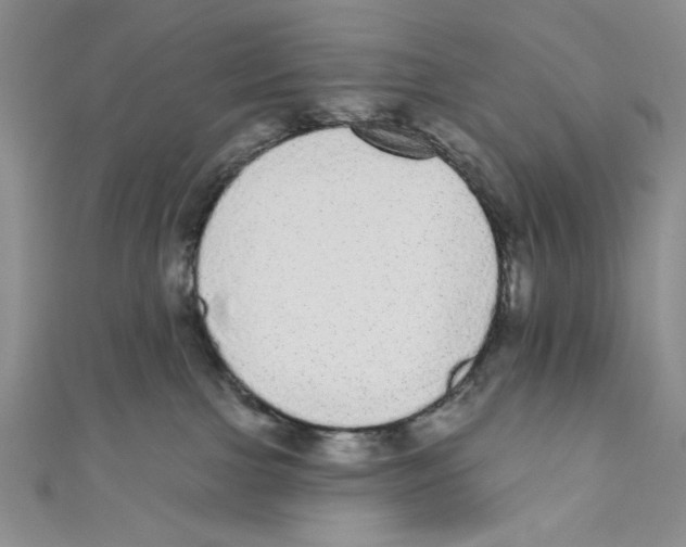 X0000110960091200907171658
