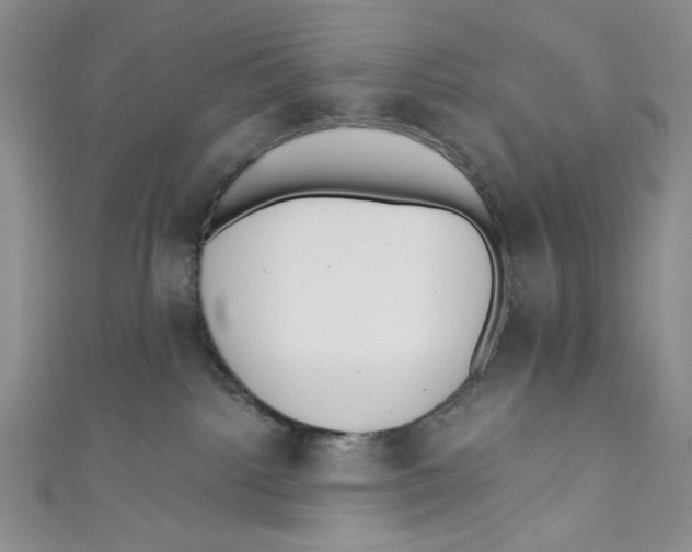 X0000110960092200907171658