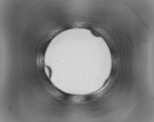 X0000110960094200907171658
