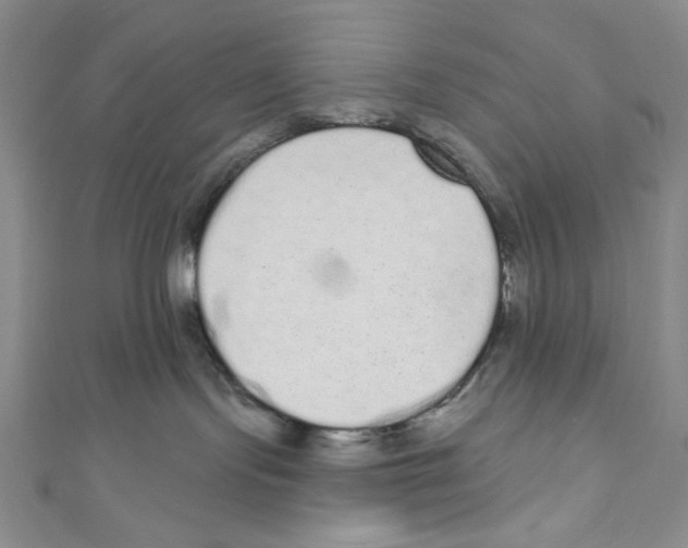 X0000110960095200907171658