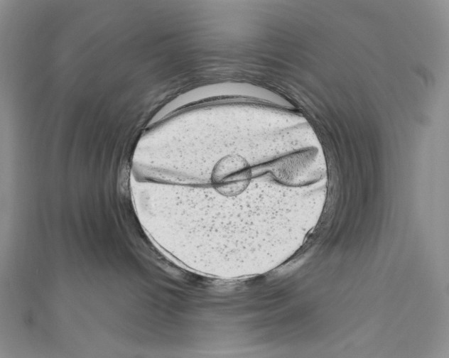 X0000110960096200907171658