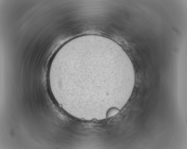 X0000110960098200907171658