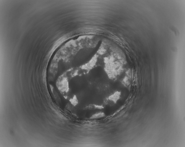X0000110960099200907171658