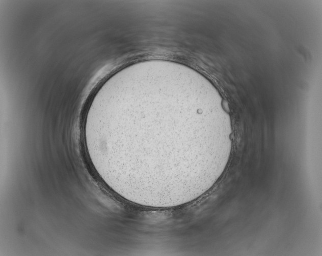 X0000110960102200907171657