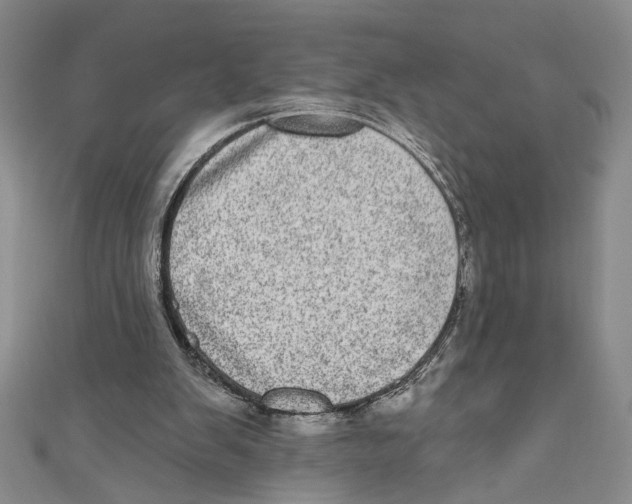 X0000110960103200907171657