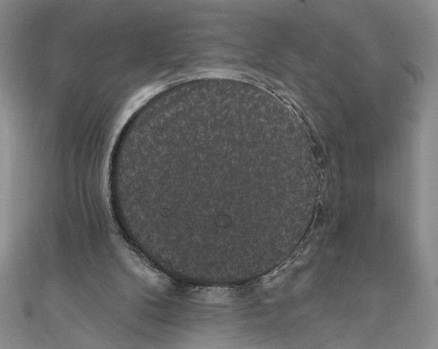 X0000110960104200907171657