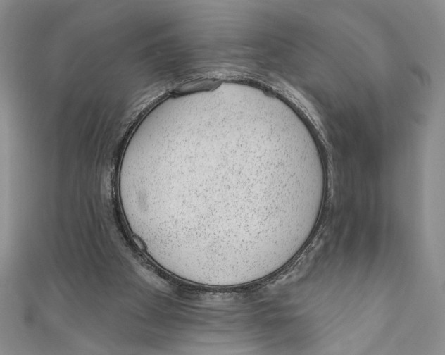 X0000110960105200907171657
