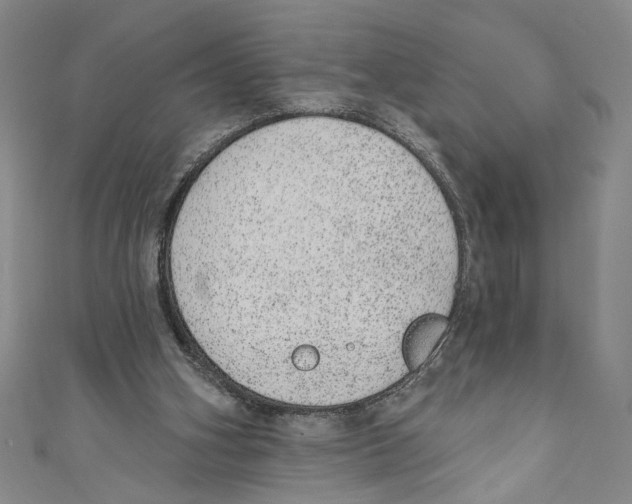 X0000110960106200907171657