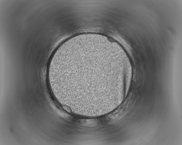 X0000110960107200907171657
