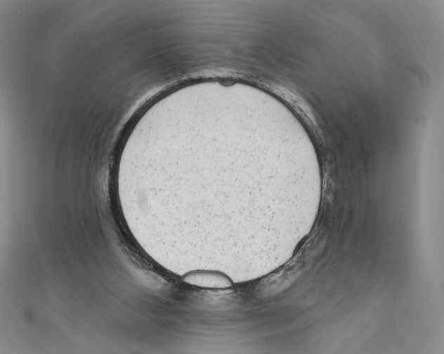 X0000110960108200907171657
