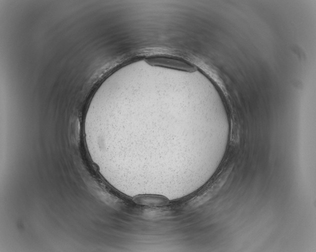 X0000110960109200907171657