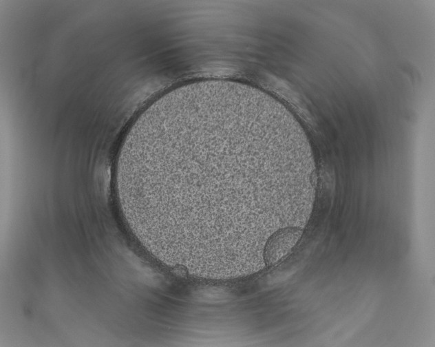 X0000110960110200907171657