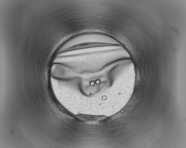 X0000110960112200907171657