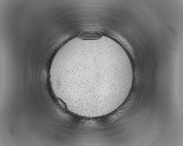 X0000110960113200907171657