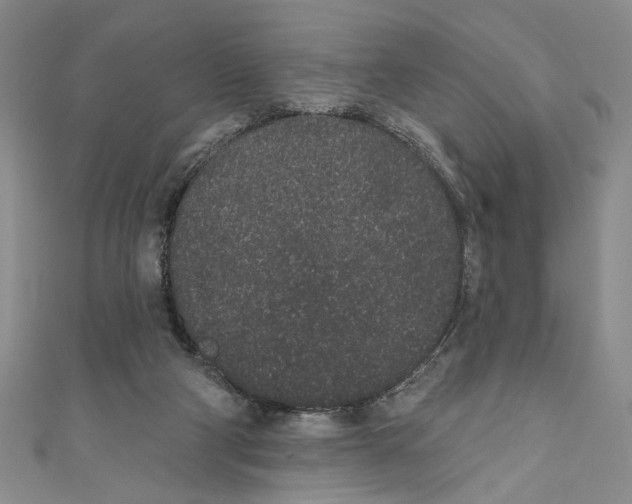 X0000110960114200907171657