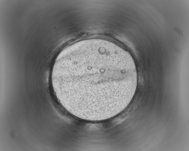 X0000110960115200907171657