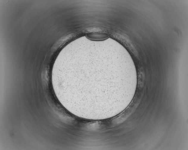 X0000110960116200907171657