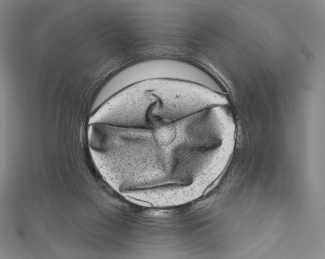 X0000110960117200907171657