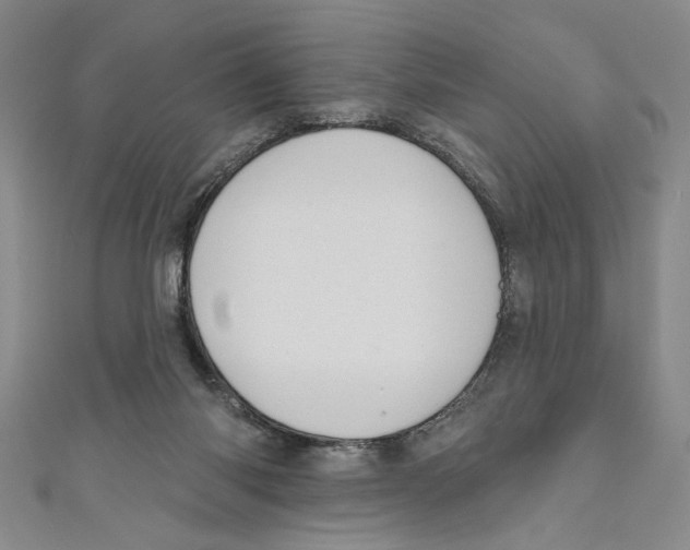 X0000110960118200907171657