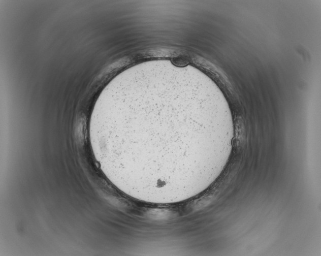 X0000110960119200907171657