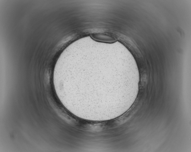 X0000110960120200907171657