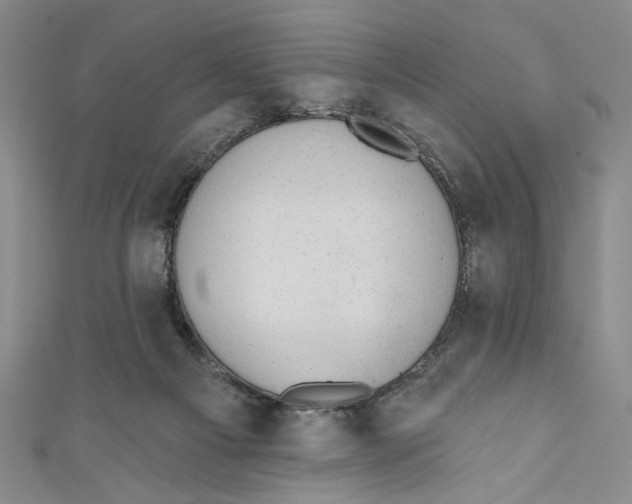 X0000110960121200907171657